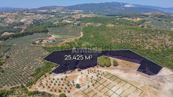 Caferli Köyü'nde Full Deniz Manzaralı Yatırımlık Arazi 1