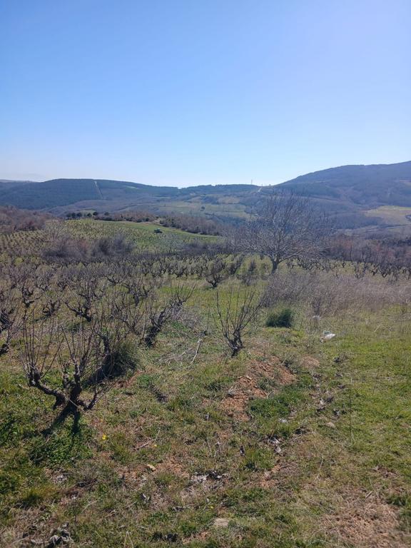 Tekirdağ Şarköy 2