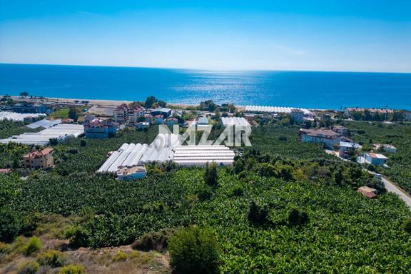 Alanya İshaklı’da 1.665 M2 Deniz Manzaralı Tarla 1