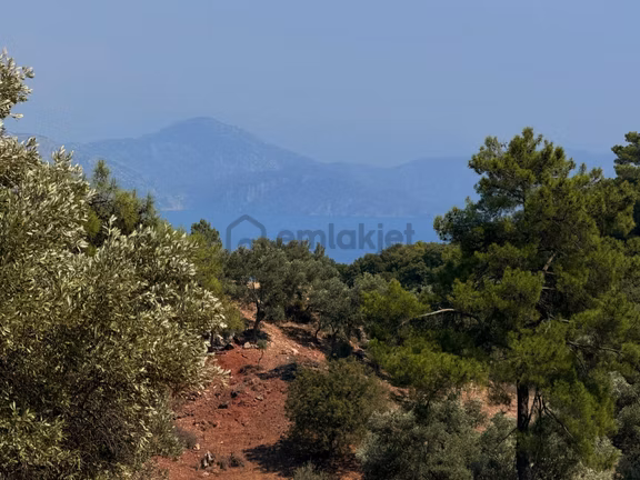 Sarıgermede Deniz Manzaralı 3.499 M² Yatırımlık Tarla 2