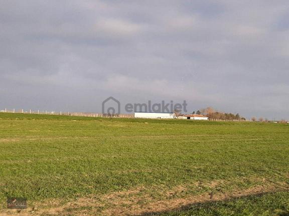 Ovacık Köy Meydanına Yakın 1.886 M2 Satılık 2