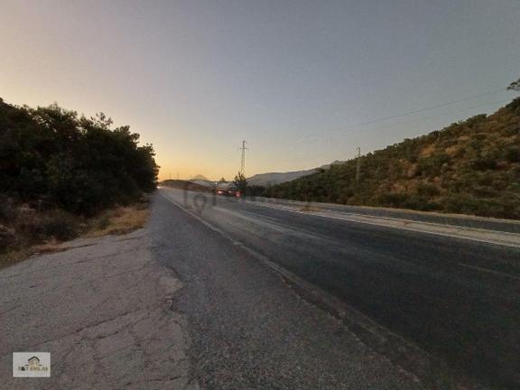 Muğla Milas Bafa'da Anayola Sıfır 65 Dönüm Satılık Zeytinlik 1