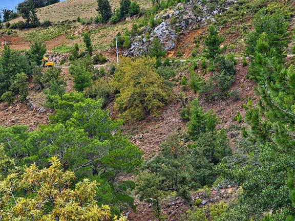 Yeniköy Mahallesi Avokado Ekimine Uygun 12.700m2 Tarla 1