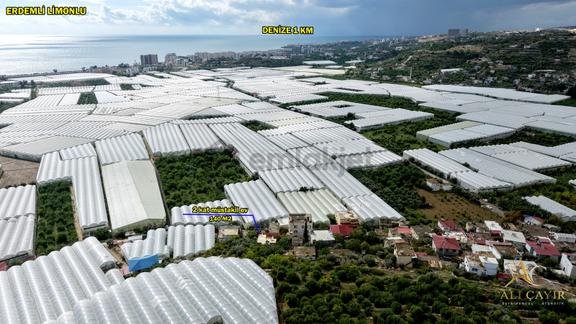 Erdemli Limonlu 2+1 Deniz Manzaralı Müstakil Ev Denize 1.5 Km 1