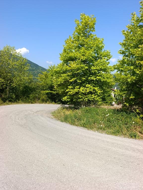 Yine *zeybek'*den 8.043.m2 + Villa+ Konut İmarli Köy İçi 2