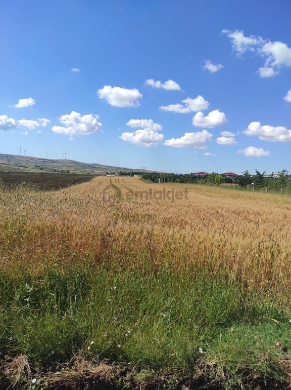 Si̇li̇vri̇ Akören'de Satilik 1015 M² Doğa Manzarali Arsa 1