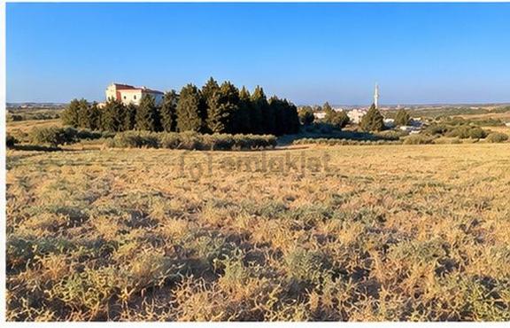 Sahibinden Hatay Antakya Üzümdalı’nda 11.008 M² Satılık Tarla | Sahibinden 1