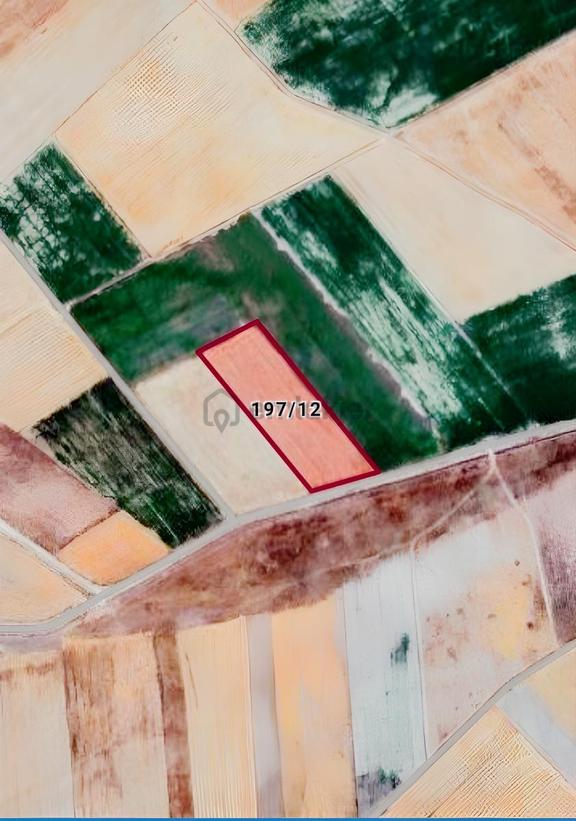 Bünyan Elbaşıda 16161 M2 Sulu Tarla 2
