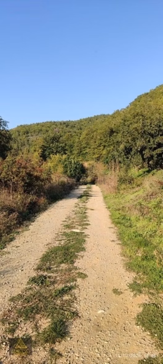İznik Gürmüzlüde 3 Adet Yol Ve Dereye Cephe/toplam 880 M²tarla 1