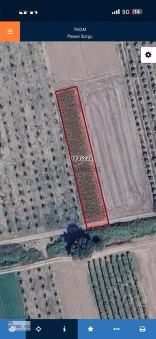 Pamukova Çihadiyede 1005 M2 Yatırımlık Tarla 1