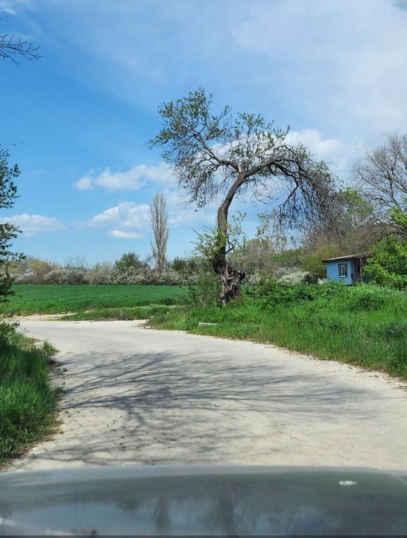 Kapaklı Yanıkağıl'da İmar İçinde 359 M² Meyve Ağaçlarıyla Dolu 2