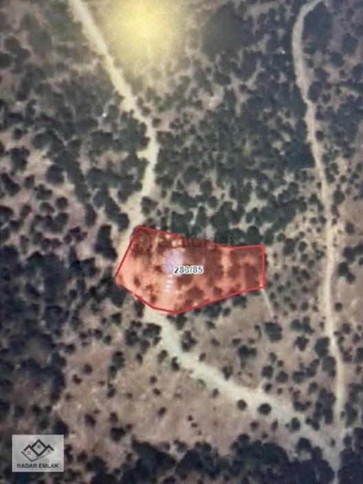 Bayındır'da 1170 M2 41 Zeytin Ağaçlı Konteynerli Güneş Enerjili 1