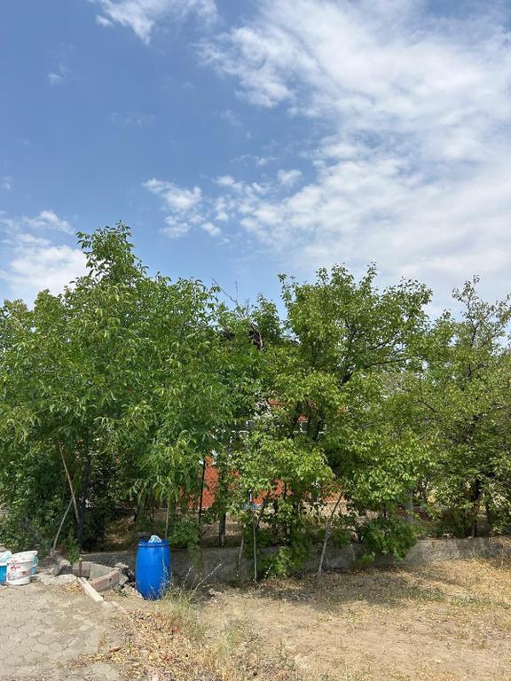 Arhusu Mahallesi’nde 493 M² Arsa İçinde Meyve Ağaçlı Garajlı Satılık Müstakil Ev 2
