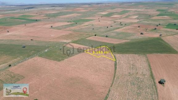 Resmî Yola Sıfır 2.191 M² Müstakil Tarla! Akören'e Sadece 6 Km! 2
