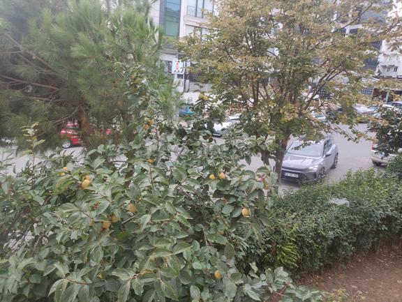 Salı Pazarı Civarında Caddeye Yakın Satılık 4 Kat İmarlı Arsa 2