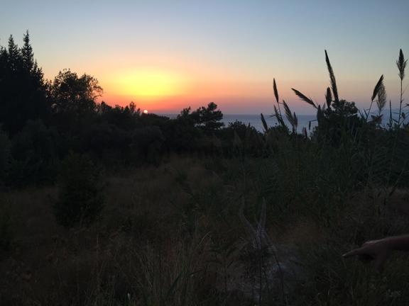 Fethiye Faralyada Turizm Bölgesinde Satılık Arsa 2005 M2 1