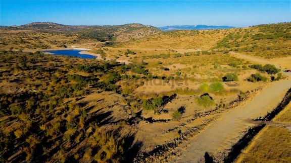 Bergama Çamtepede Baraj Manzaralı 7.650 M² Satılık Tarla 1