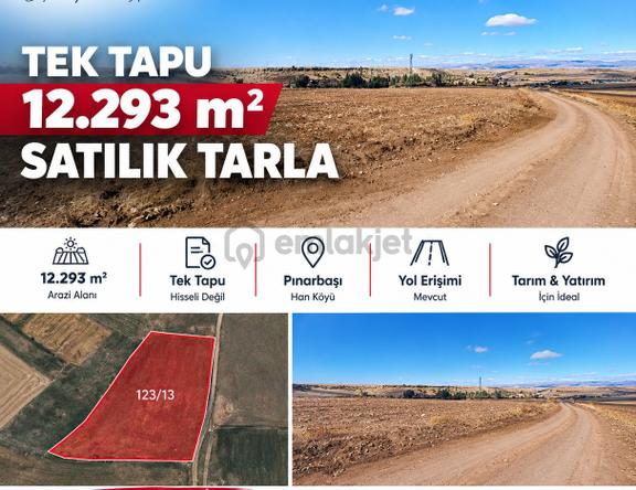 Pınarbaşı Han Köyü | 12.293m² Tek Tapulu Satılık Tarla 1