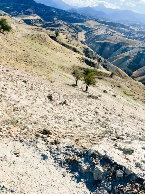 Babadağ Mollahamette 7.400 M² Yatırımlık Tarla 2