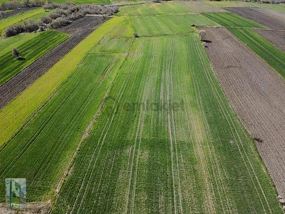 Şahlan Emlaktan 17500m2 Sulamada Satılık Arazi 2