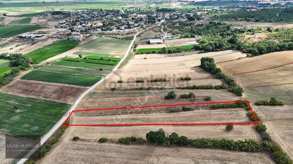 Biga Merkeze 6 Km | Köye 400 M | 19 M Yol Cepheli 3.250 M² Tarla 2