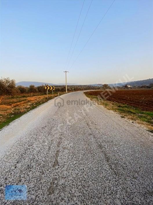 Güleç Gayrimenkul,den Satılık Kupon Tarla Çakaltepede 2