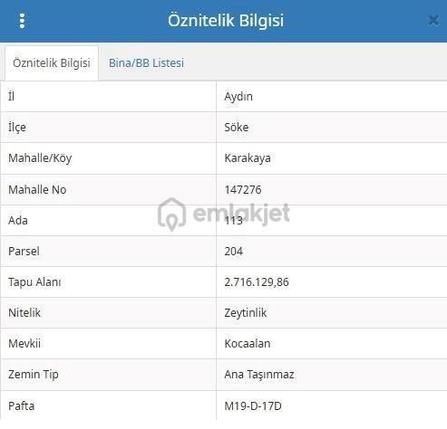 Söke Karakaya'da Maden Sahası Dibinde Zeytinlik Hissesi 2