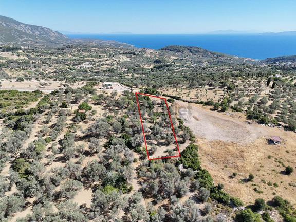 Atlas Gayrimenkul'den Yol Cepheli Köy Merkezine Yakın Tarla 1