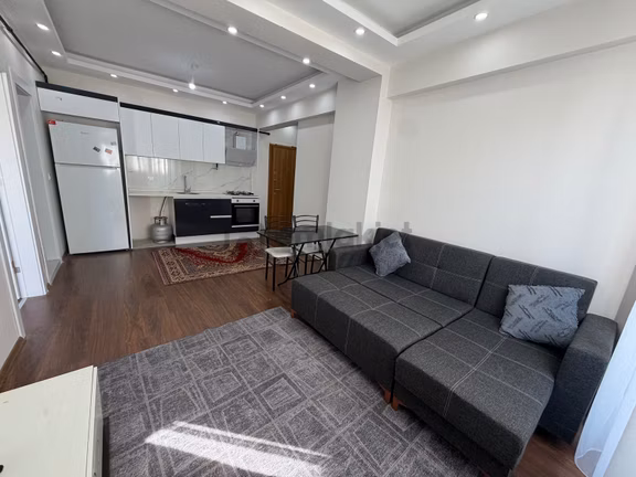 Seyrek Merkez'de 1+1 Eşyalı Kiralık Daire 1