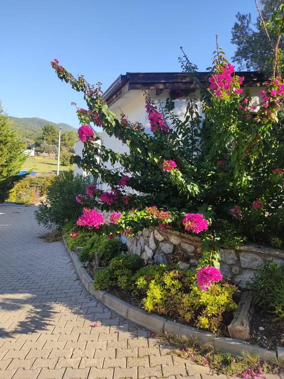 Bodrum Kızılağaçta Kiralık Villa 1