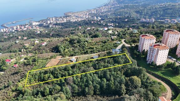 Mabel'den Vakfıkebir Körez Toki Altı Satılık 2.800 M2 Arsa 2