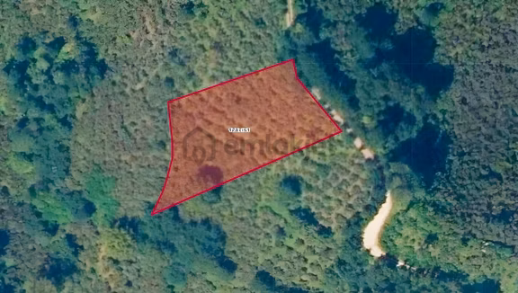 Ordu Hekimoğlu'ndan Perşembe Beylide Satılık 2500 M2 Bahçe 1