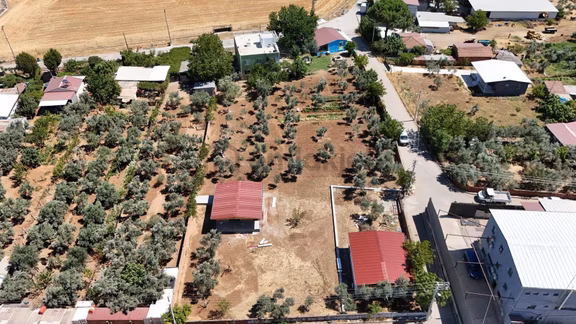 Berk Emlak'tan Oğlananasında 250 M2 Yol Cepheli Satılık Tarla 2