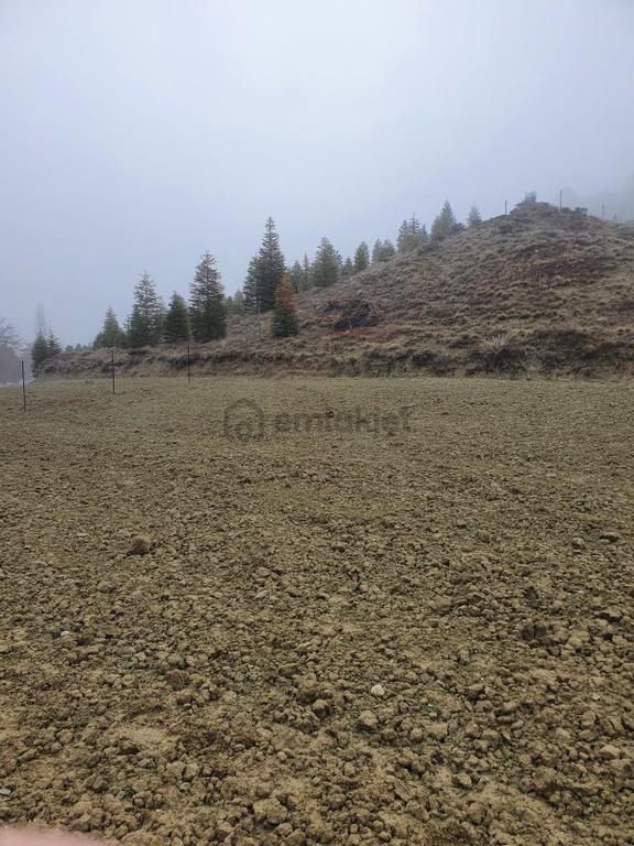Usta Gayrimenkul'den Acil Satılık Burdur Kemer'de 36.773 M2 2