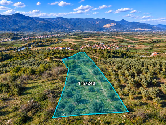 Geyve Osmaneli Sınırı 2390 M2 Bağ Nitelik Panoramik Manzaralı 2