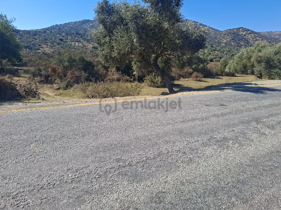 Ana Yol Kenarı 26 Dönüm Hayvancılık İçin Uygun Suyu Kuyusu Aktif 1