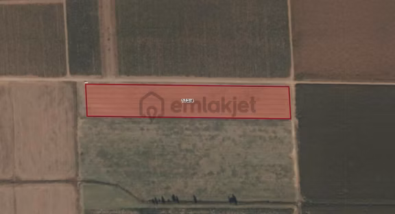 Konya Ereğli Çiller Mahallesi’nde Satılık Tarla 1