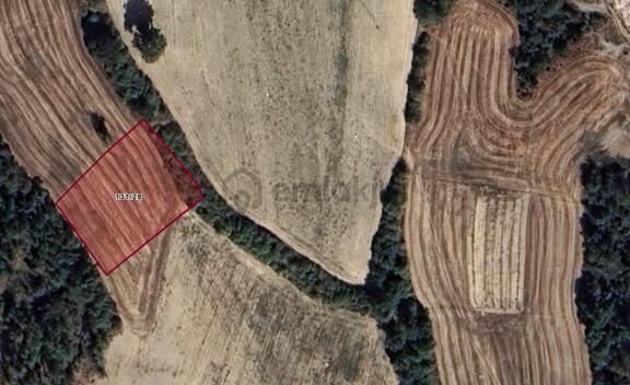 Rw/detay | Bolu Göynük Karacalarda 1.753 M² Tarla Fırsatı 1