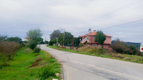 Sakarya / Ferizli / Teberik Mahallesi Satılık Fındık Bahçesi 2