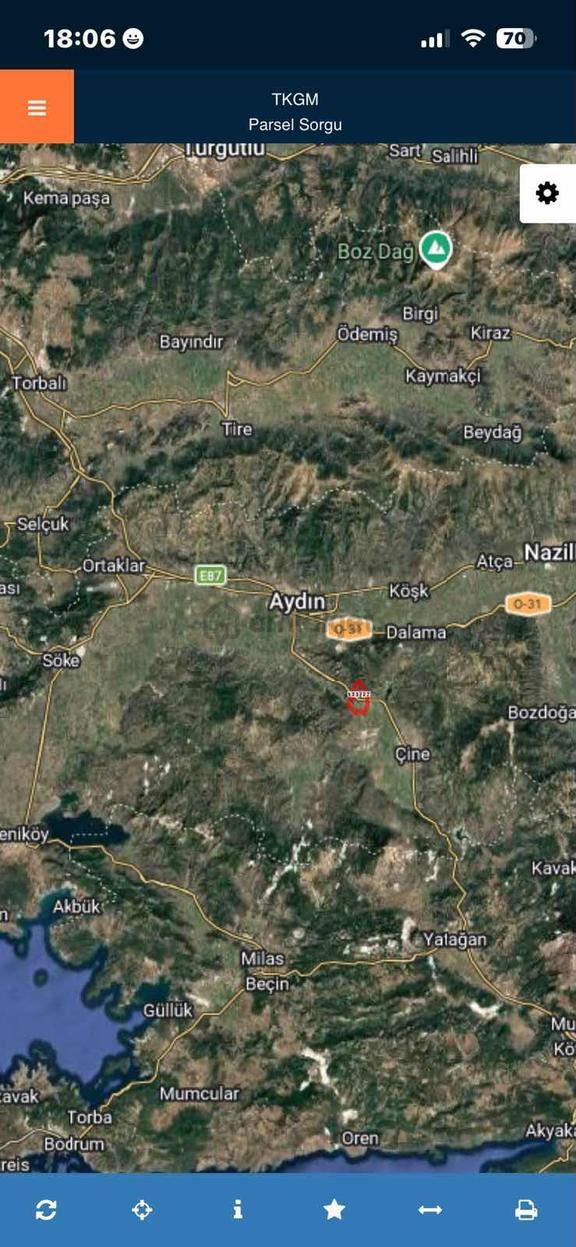 Cengizler'den Aydın Çine'de 8.382 M2 Satılık Zeytinlik 2