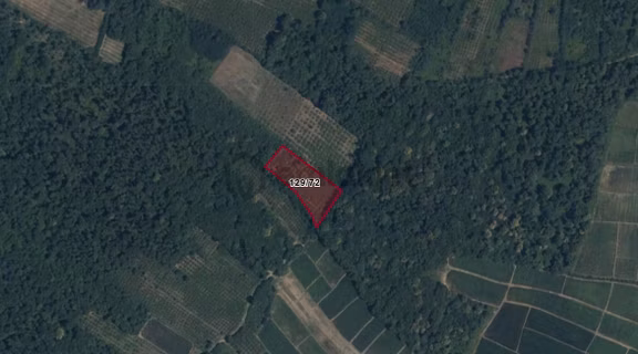 Sehn Ta110 I Terme Köybucağı’nda Yatırımlık 4.221 M² Tarla! 1