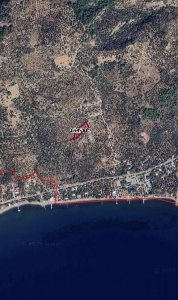 Asosta Denize Yakın Ve Full Deniz Manzaralı 2023 M2 Zeytinlik 2