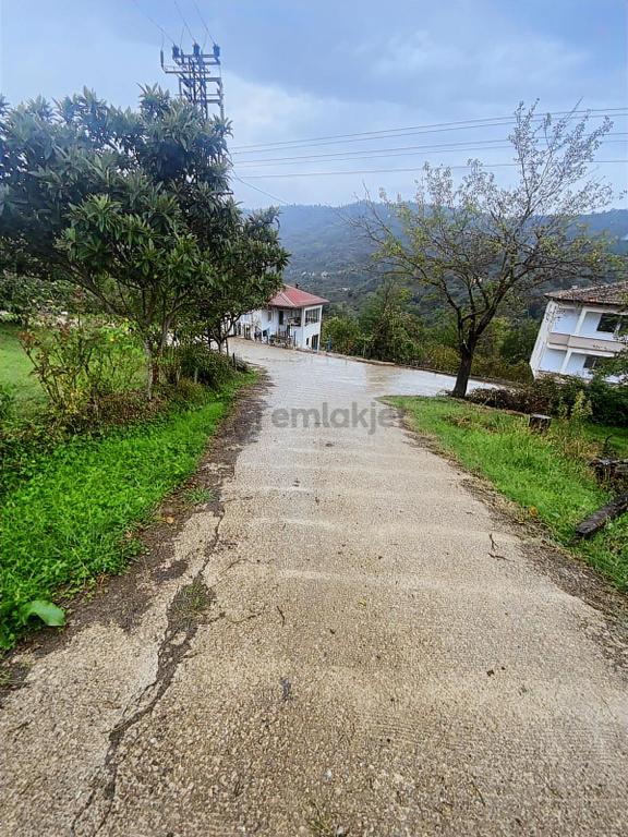 Tepe Gayrimenkulden Beyli Koyunde Mustakil Ev Ve Arsasi 2