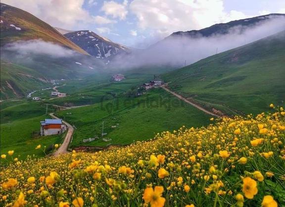 Fırsat !!! Arsa Rizenin Güzel Yaylalarından Biri Rize İkizdere 1