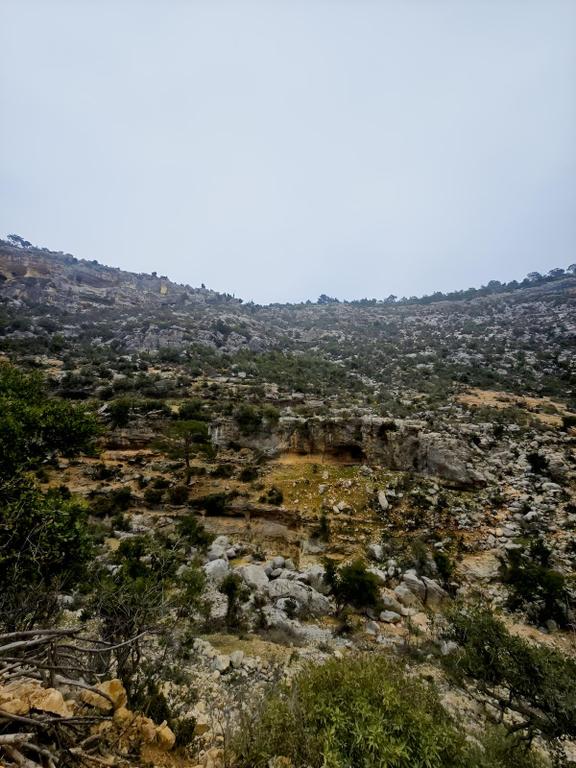 Silifke Bükdeğirmeni Köyünde Satılık Tarla 1