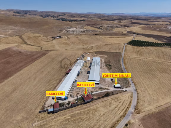 Merkez Altınkuşak'ta Yüksek Getirili Tavuk Çiftliği Tesisi 1