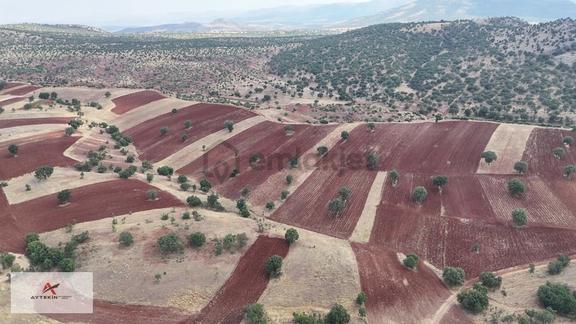 Ormana Cephe, Resmî Yola Sıfır! 2.742 M² Müstakil Tarla Fırsatı! 1