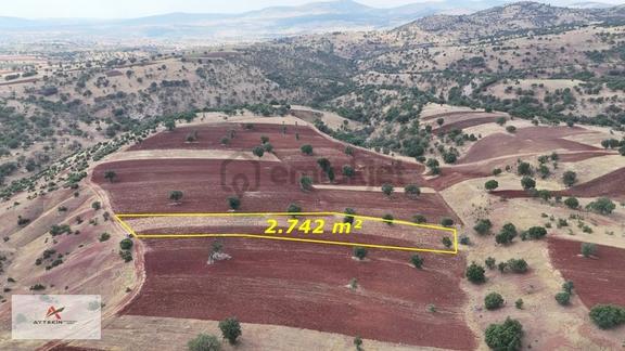 Ormana Cephe, Resmî Yola Sıfır! 2.742 M² Müstakil Tarla Fırsatı! 2
