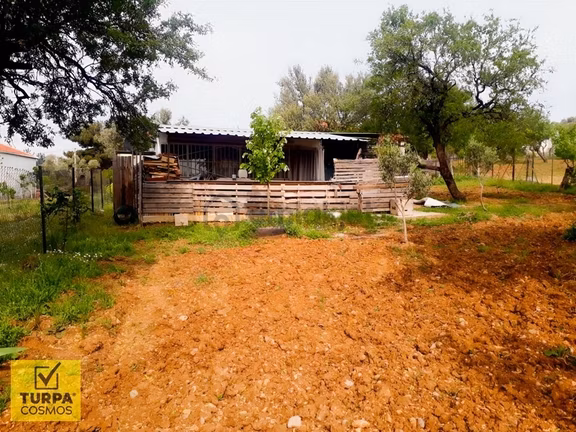 Sütçüler Sipil Dağı Yolu Üzeri Numara Tajlı Zeytinlik Tarla 1