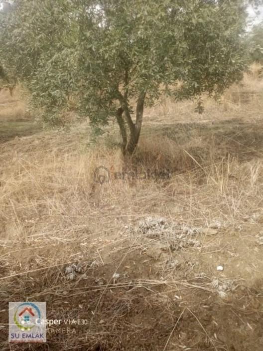 Tire Derebasında Satılık Müstakil Ev 2